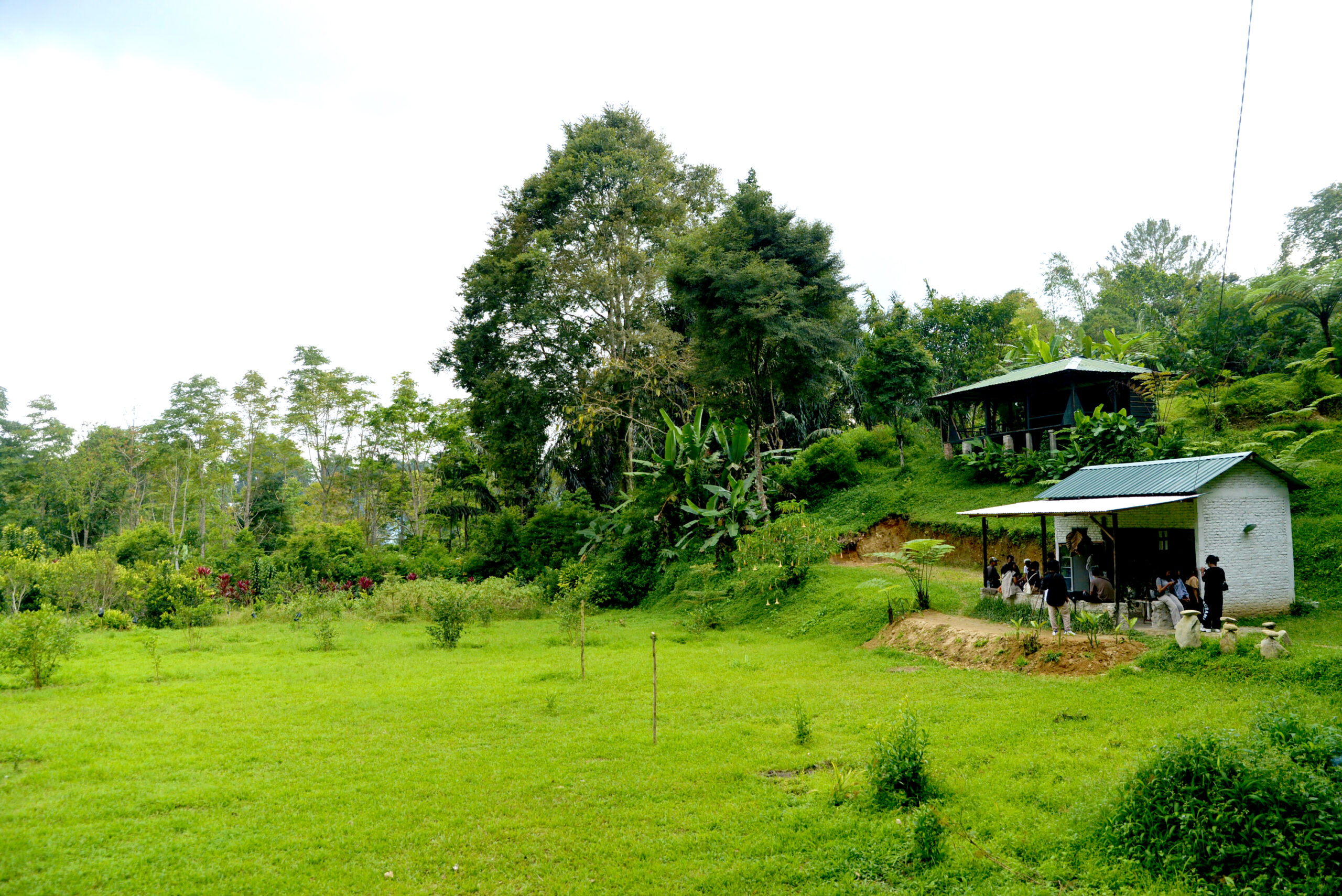 Galeri 2