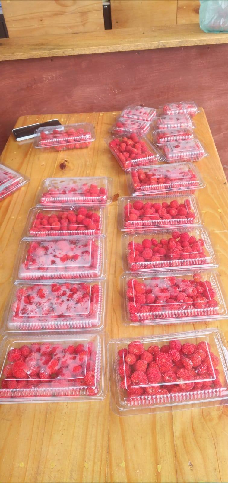 Raspberry